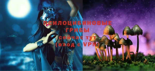 твердый Жердевка
