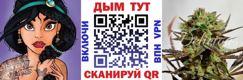 Каннабис планчик  Берёзовский 